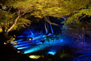 Τόκιο: Φθινόπωρο στον Κήπο Ρικούγκι-εν