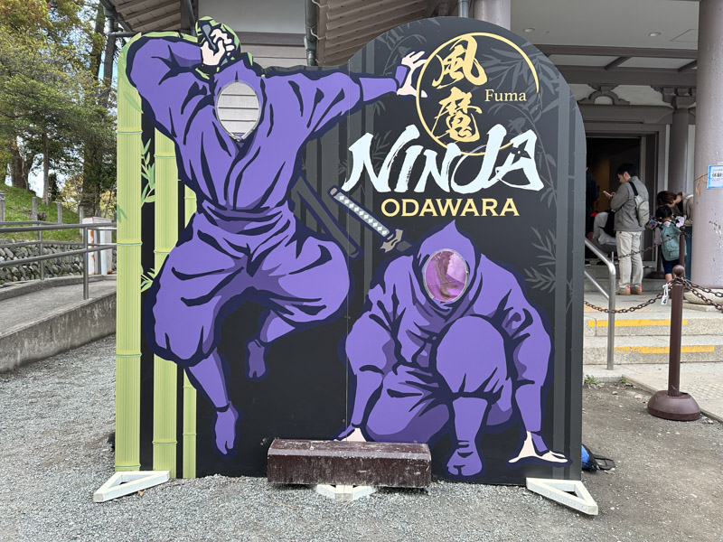 Ninja, Ιαπωνία